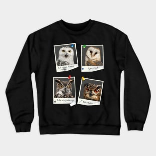 nocturnal raptors Crewneck Sweatshirt